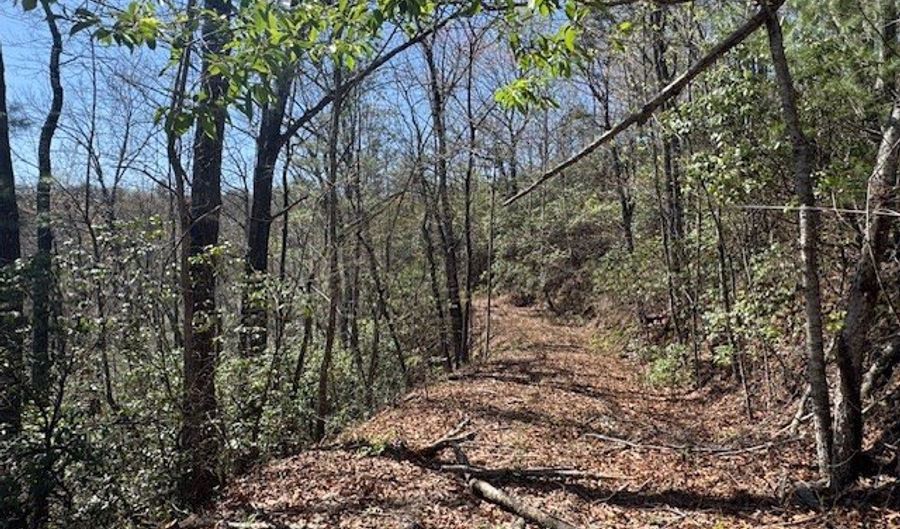 000 Holland Farm Rd, Andrews, NC 28901 - 0 Beds, 0 Bath