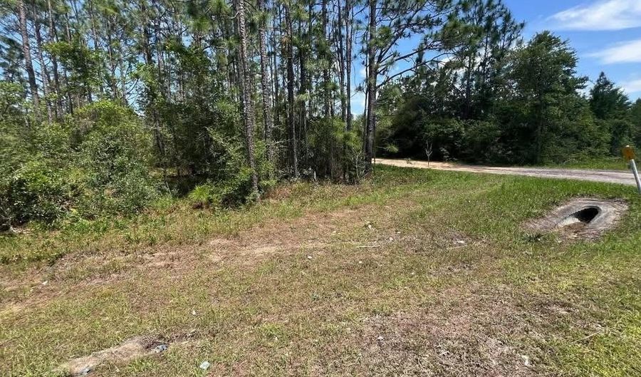 3974 NW Joy Ln, Altha, FL 32421 - 0 Beds, 0 Bath