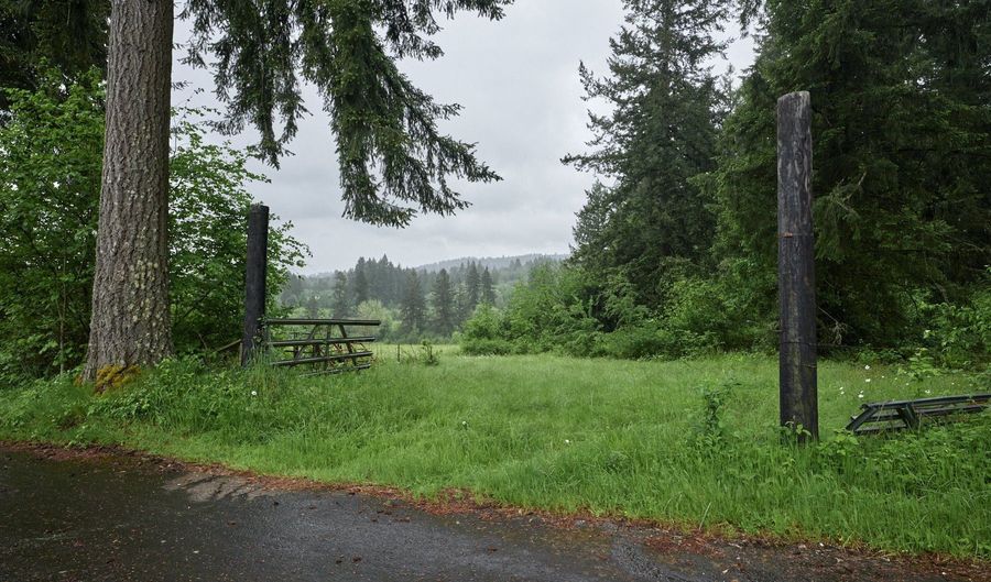 NE 389th St, Amboy, WA 98601 - 0 Beds, 0 Bath