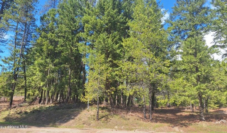 NNA Parkland Dr, Blanchard, ID 83804 - 0 Beds, 0 Bath