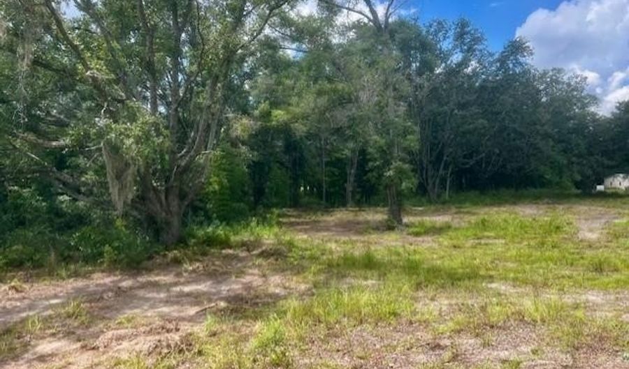 3109 US Hwy 129, Bell, FL 32619 - 0 Beds, 0 Bath