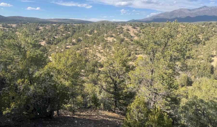 Canyon of the Woods Off Hondo Seco Road, Arroyo Hondo, NM 87514 - 0 Beds, 0 Bath