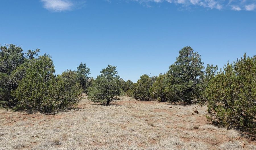 17 County Road 8077, Concho, AZ 85924 - 0 Beds, 0 Bath