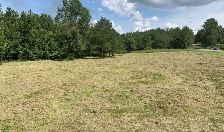 000 Mt Pleasant Ln SE, Bogue Chitto, MS 39629 - 0 Beds, 0 Bath