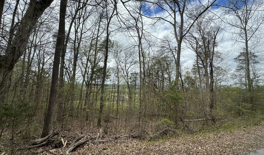 Lot 91 Butterfly Cove Trail, Decatur, TN 37322 - 0 Beds, 0 Bath