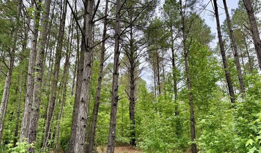 0020 Mount Carmel Rd, Bailey, MS 39320 - 0 Beds, 0 Bath