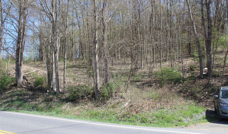 Old State Route 22, Amenia, NY 12501 - 0 Beds, 0 Bath