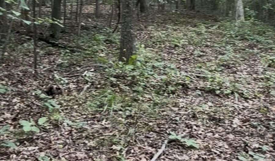 Collins Road, Blaine, TN 37709 - 0 Beds, 0 Bath