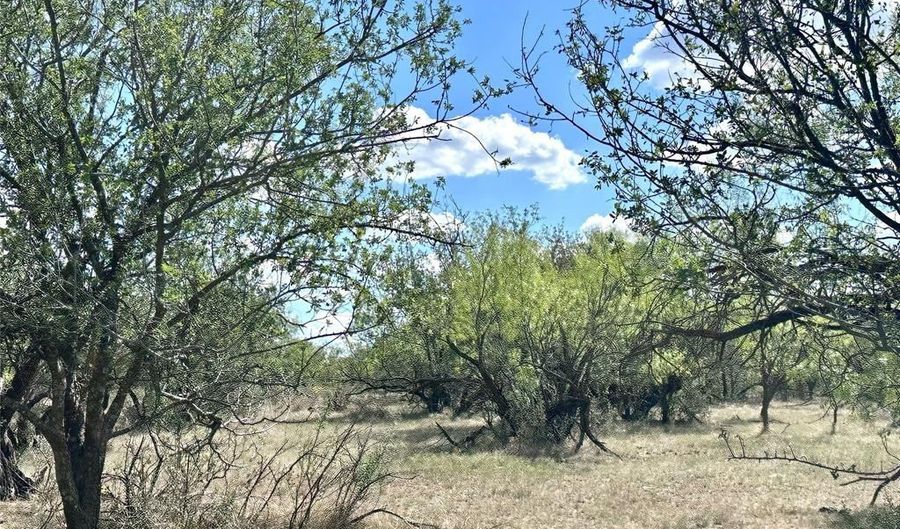 Tbd TBA CR 100, Abilene, TX 79601 - 0 Beds, 0 Bath