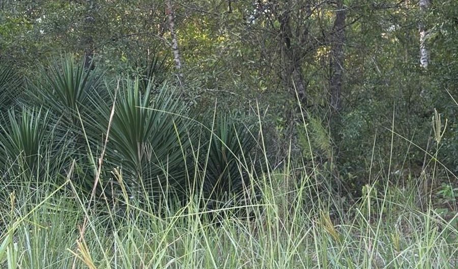 50 Th St, Bell, FL 32619 - 0 Beds, 0 Bath