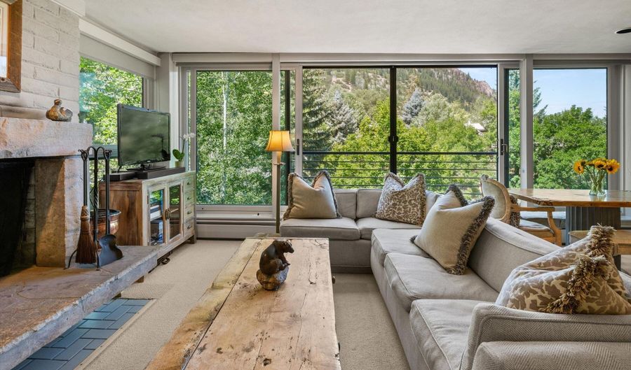 728 S Galena St 202-B, Aspen, CO 81611 - 3 Beds, 2 Bath