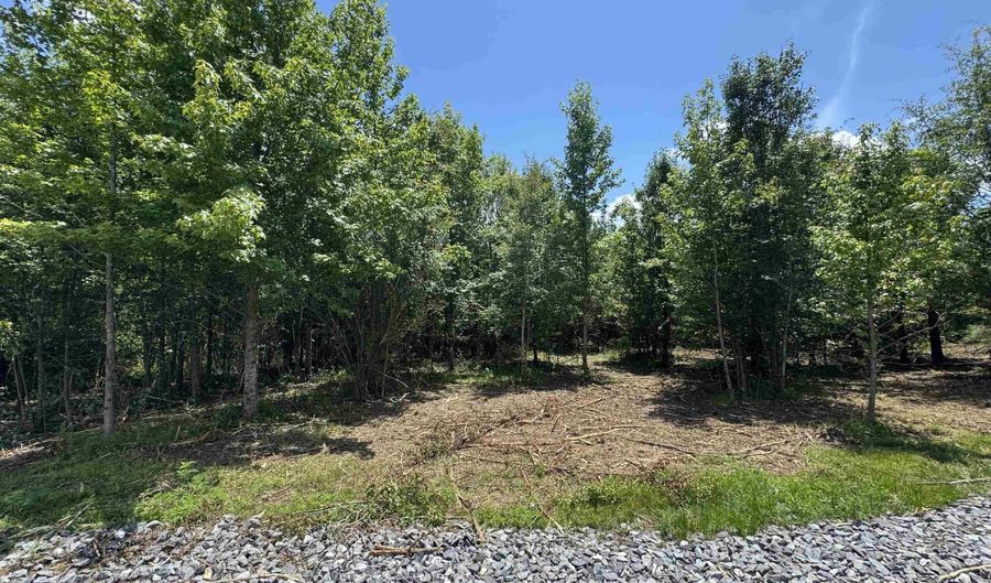 1 Razorback Way, Albertville, AL 35951 - 0 Beds, 0 Bath