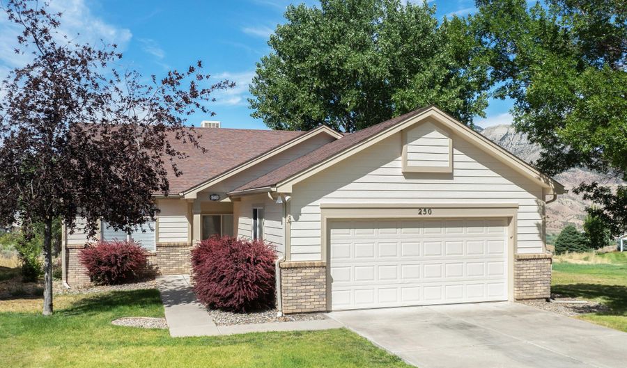 250 Limberpine Cir, Battlement Mesa, CO 81635 - 3 Beds, 2 Bath