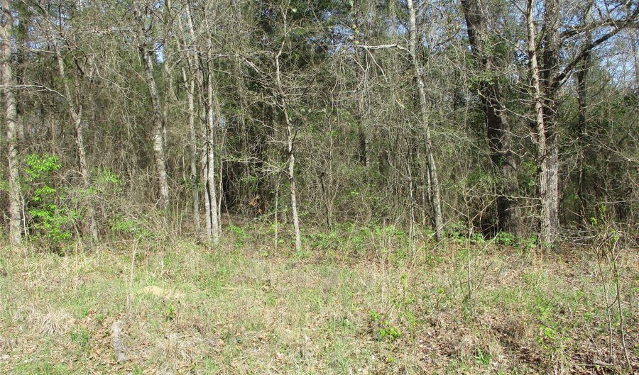 County Road 2958, Alba, TX 75410 - 0 Beds, 0 Bath