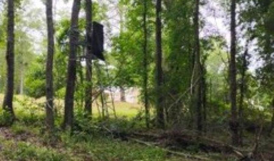 Double Pond Road, Blackville, SC 29817 - 0 Beds, 0 Bath