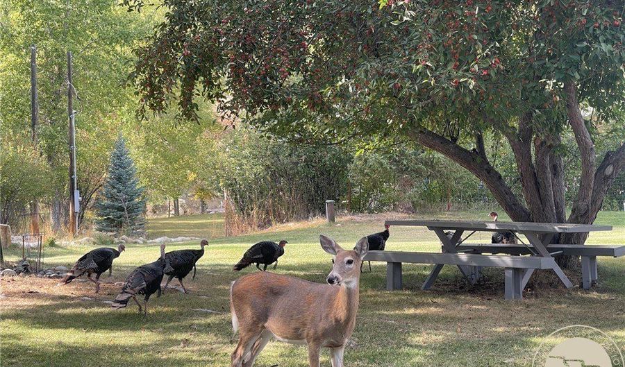 221 W School St, Absarokee, MT 59001 - 3 Beds, 3 Bath