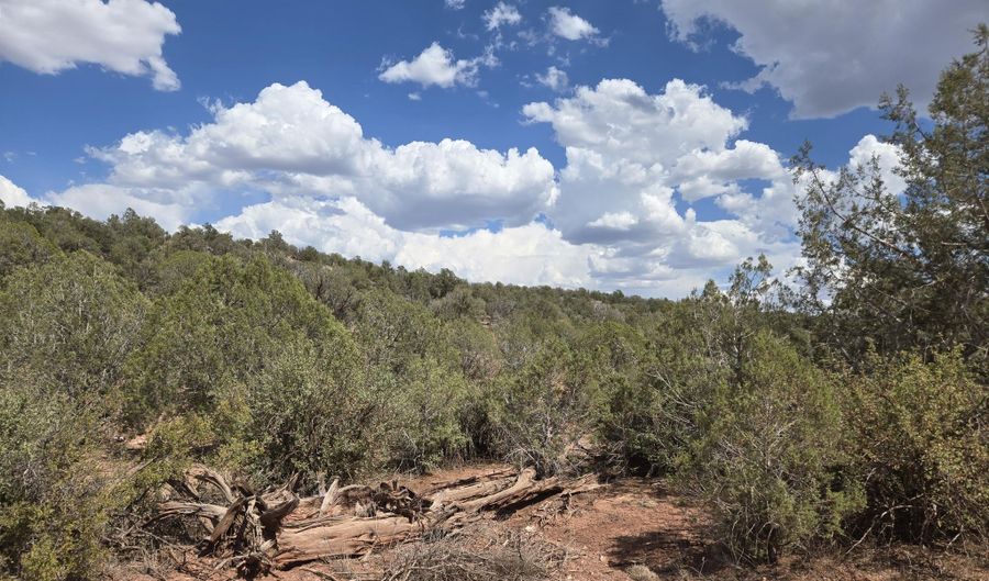 215 Off Cathedral Vly, Ash Fork, AZ 86320 - 0 Beds, 0 Bath