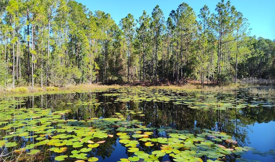 SMITH STREET, Astor, FL 32102 - 0 Beds, 0 Bath