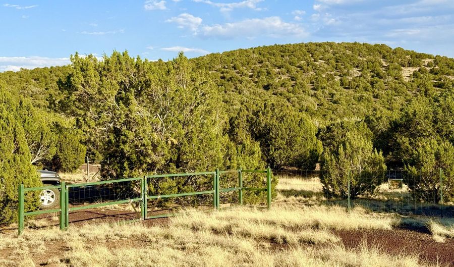 37 Co Rd N8174 10.1 Acres, Concho, AZ 85924 - 0 Beds, 0 Bath