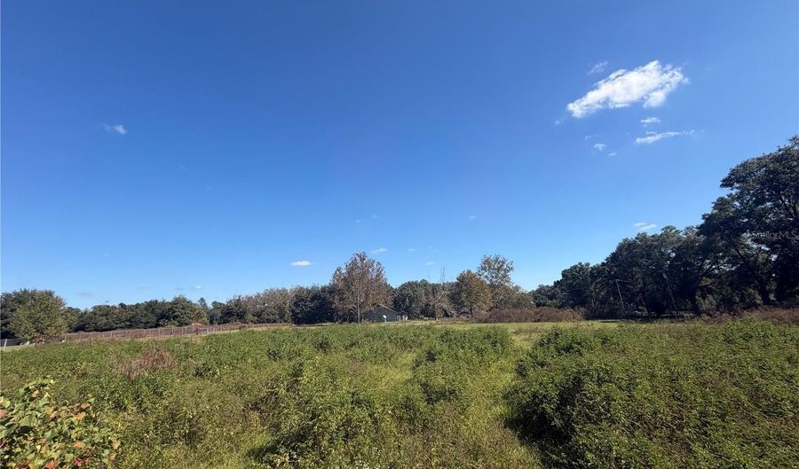 Tbd NE 25TH AVENUE, Anthony, FL 32617 - 0 Beds, 0 Bath