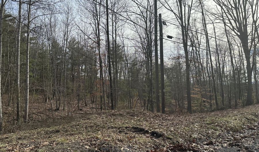 Lot 1 Rt. 1 Muddy Creek Mountain, Alderson, WV 24910 - 0 Beds, 0 Bath