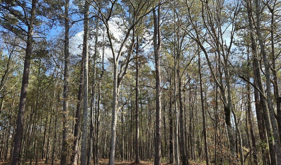 Yatesville Road, Barnesville, GA 30204 - 0 Beds, 0 Bath