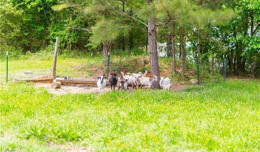 4330 Joe Frank Harris Pkwy NW, Adairsville, GA 30103 - 3 Beds, 3 Bath