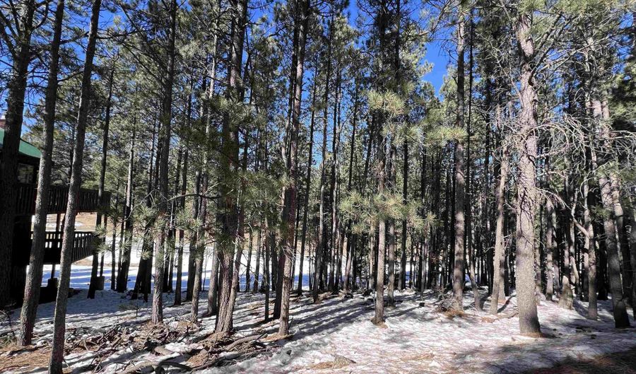 Lot 15 Champions Terrace, Angel Fire, NM 87710 - 0 Beds, 0 Bath