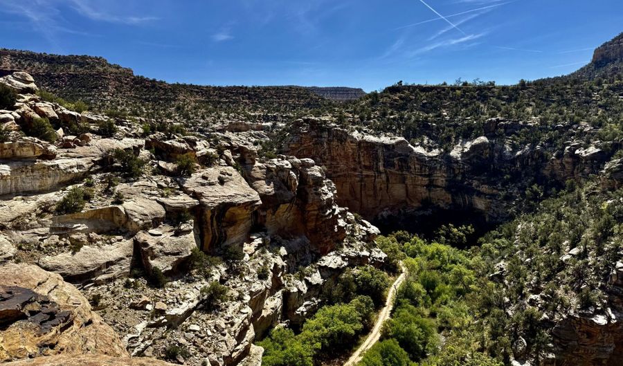 TBD X4 Road, Bedrock, CO 81411 - 0 Beds, 0 Bath
