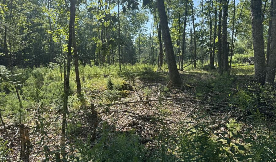 Brookside Lane, Appleton, ME 04862 - 0 Beds, 0 Bath