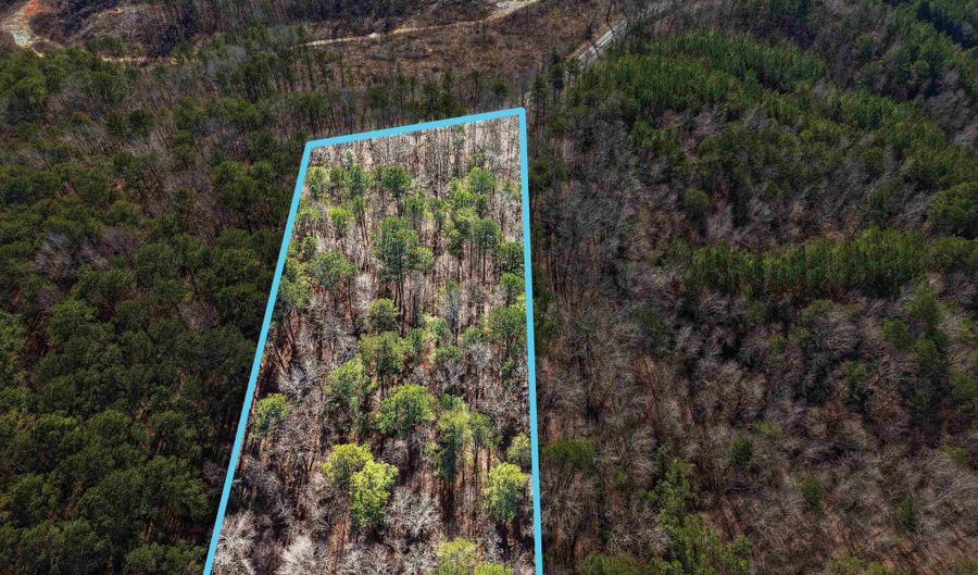 15045 LOCK 17 Rd Lot 1, Adger, AL 35006 - 0 Beds, 0 Bath