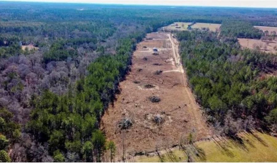 1 Mixon Rd, Amite, LA 70422 - 0 Beds, 0 Bath