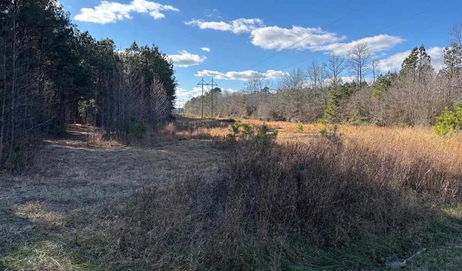 LOT 4B MOLLYFIELD ROAD, Dagsboro, DE 19939 - 0 Beds, 0 Bath