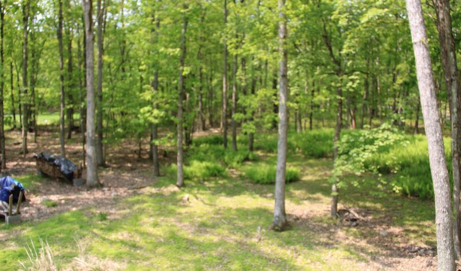 354 KILMER Trl, Albrightsville, PA 18210 - 4 Beds, 2 Bath