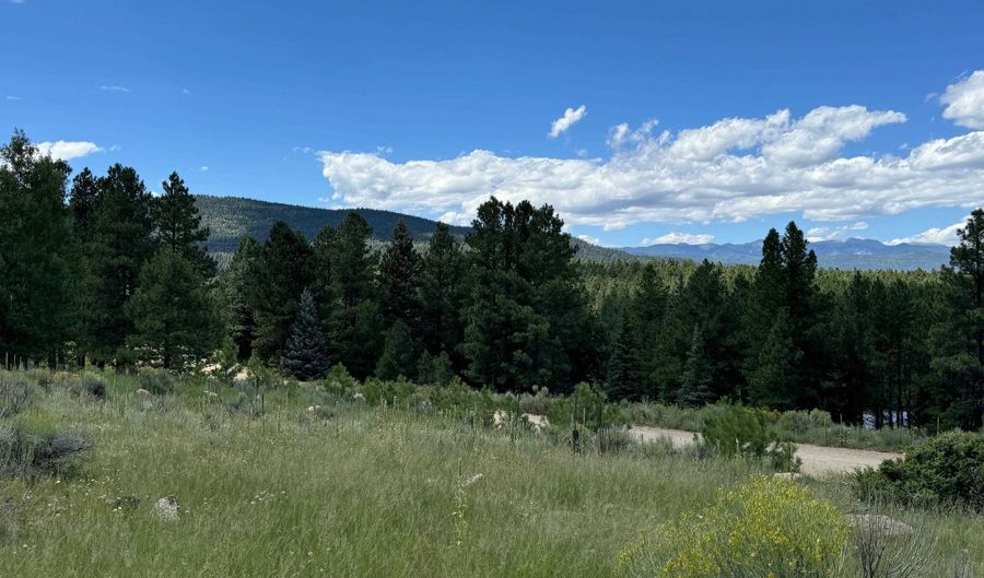 Lot 458 San Mateo, Angel Fire, NM 87710 - 0 Beds, 0 Bath