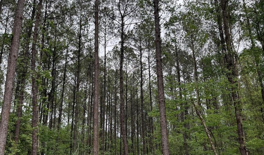 U.S. 49, Brooklyn, MS 39425 - 0 Beds, 0 Bath