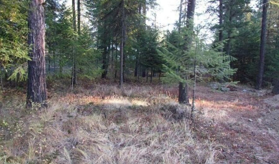 39 Forest Ridge Rd, Blanchard, ID 83804 - 0 Beds, 0 Bath