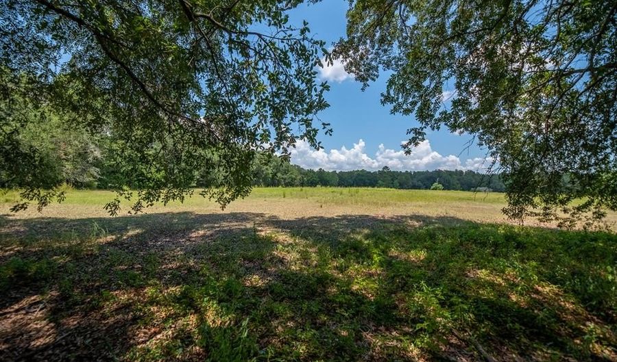 000 Griffin St, Bainbridge, GA 39817 - 0 Beds, 0 Bath
