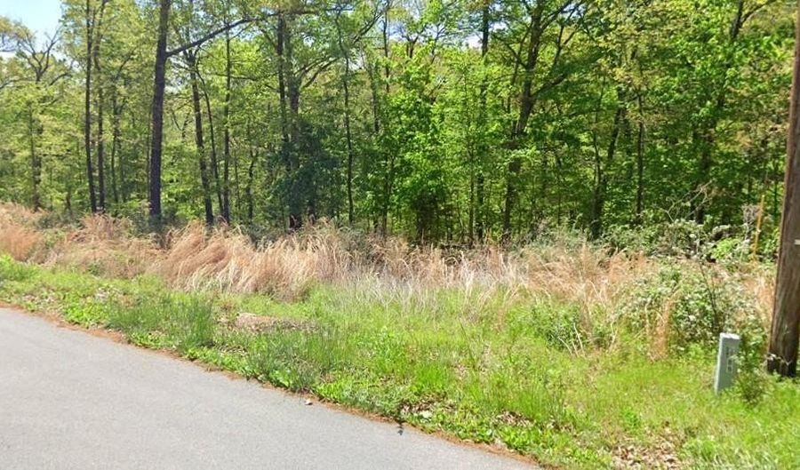 Lot 2 Selkirk DR, Bella Vista, AR 72715 - 0 Beds, 0 Bath