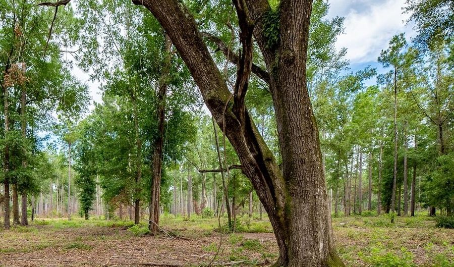 221 Ac Crestview Rd, Arlington, GA 39813 - 0 Beds, 0 Bath