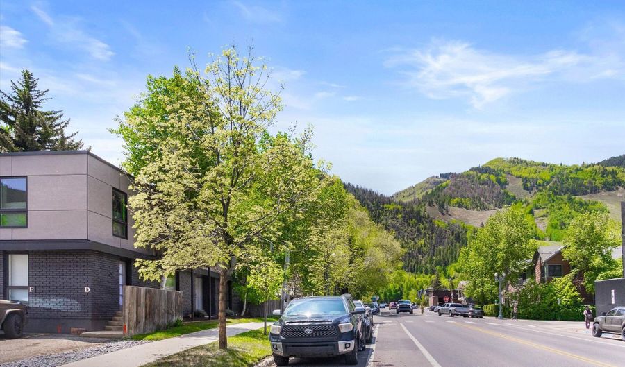 250 S Original St B, Aspen, CO 81611 - 2 Beds, 3 Bath
