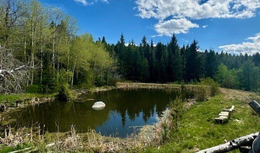 NHN Perkins Gulch Road, Anaconda, MT 59711 - 0 Beds, 0 Bath