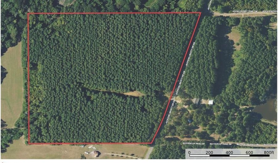 2780 Jackson Liberty Rd, Bogue Chitto, MS 39629 - 0 Beds, 0 Bath