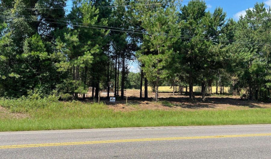 00 Hwy 29 N, Andalusia, AL 36421 - 0 Beds, 0 Bath