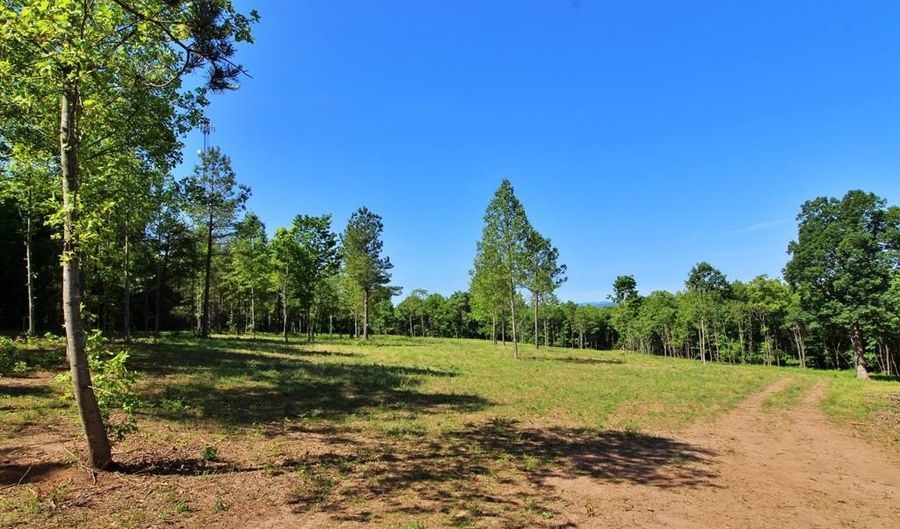 Tower Hill Rd, Appomattox, VA 24522 - 0 Beds, 0 Bath