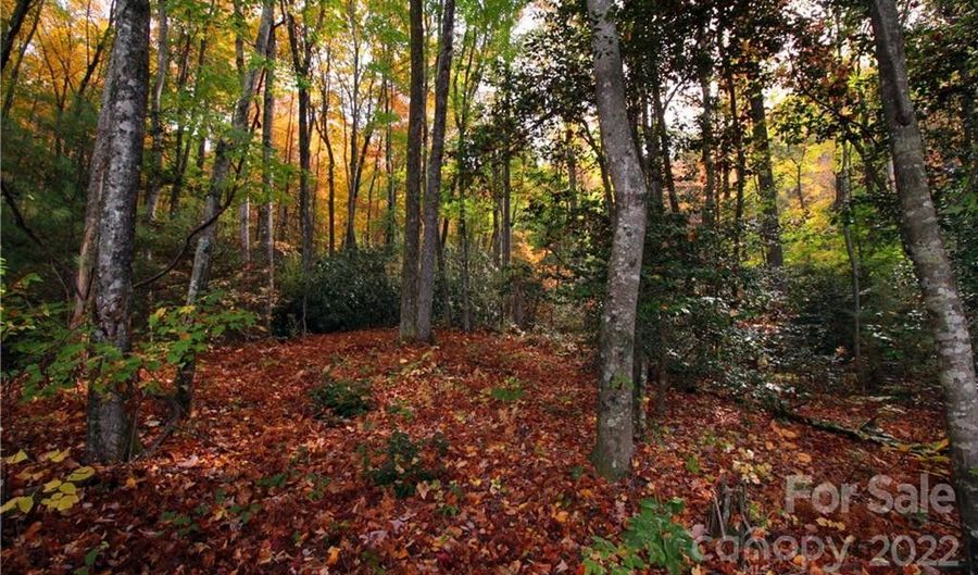 Lot 81 Peppervine Circle 81, Brevard, NC 28712 - 0 Beds, 0 Bath