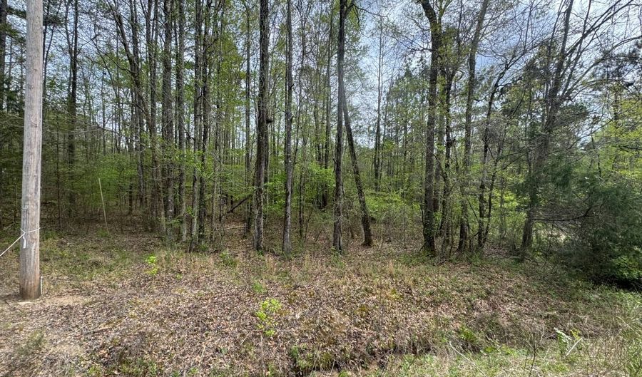 Cedar Lane, Alexander City, AL 35010 - 0 Beds, 0 Bath