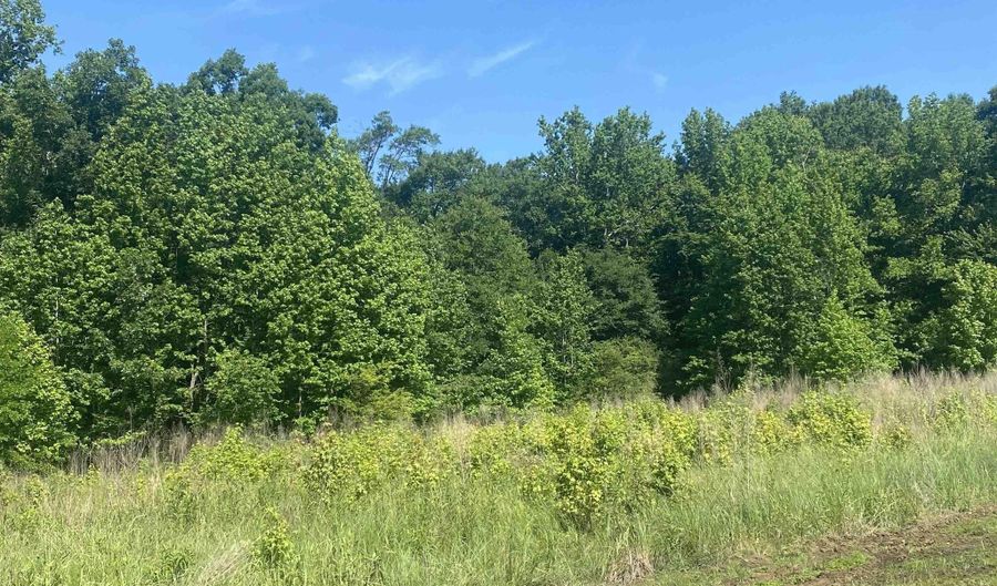 Lot 25 Cinel Loop, Austin, AR 72007 - 0 Beds, 0 Bath