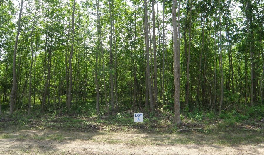 SHORTLY RD lot A, Georgetown, DE 19947 - 0 Beds, 0 Bath