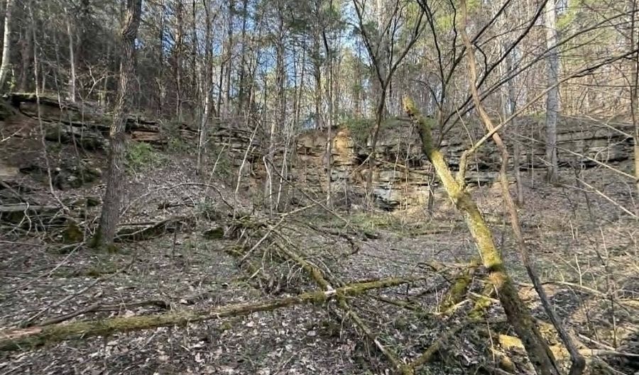 5 Acres Hwy 415, Albany, KY 42602 - 0 Beds, 0 Bath